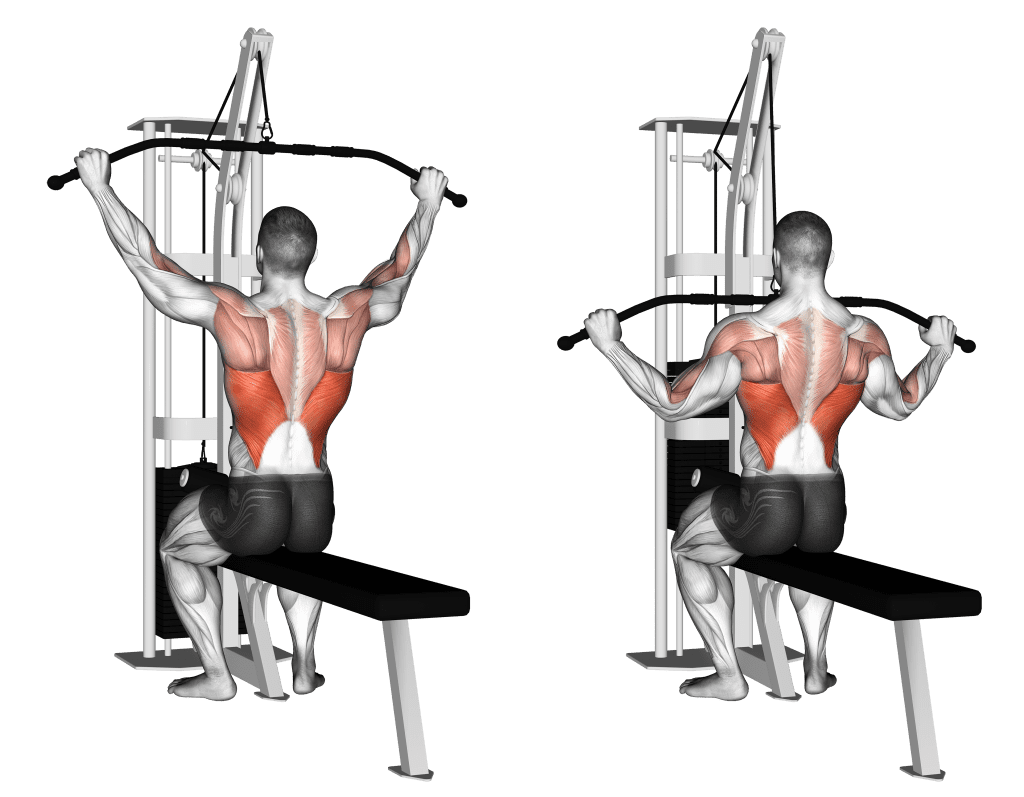 cable back workouts